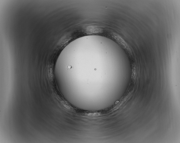 X0000108480426200904091441