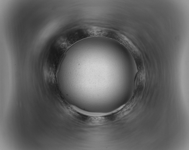 X0000108480429200904091441
