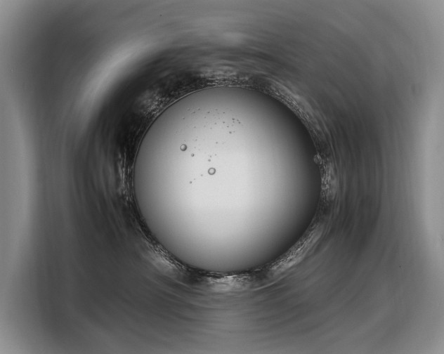 X0000108480430200904091441