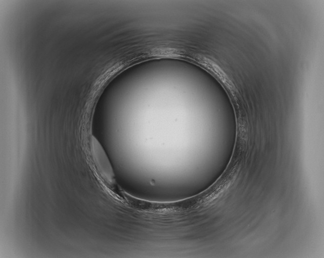 X0000108480433200904091440