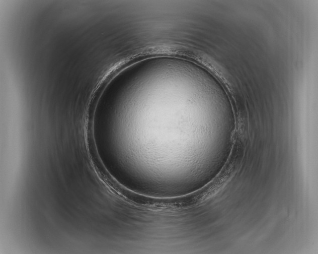 X0000108480434200904091440
