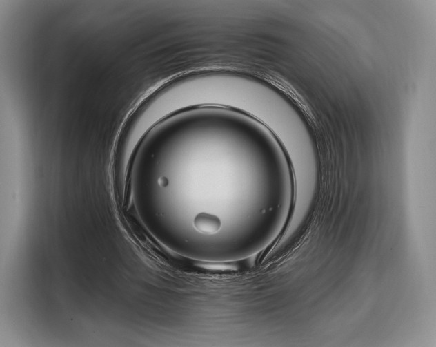 X0000108480436200904091440
