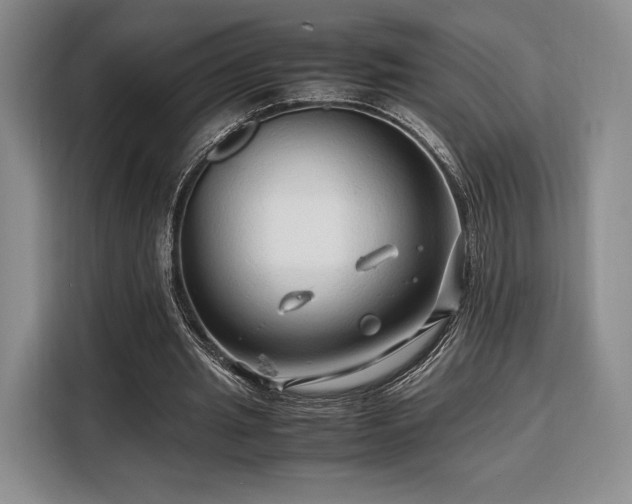 X0000108480437200904091440