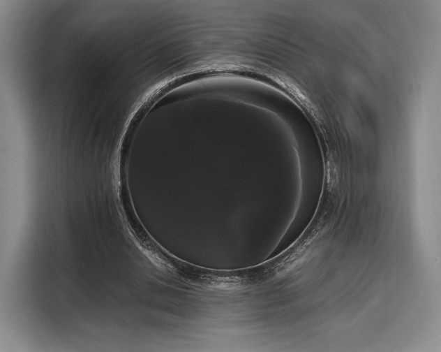 X0000108480438200904091440