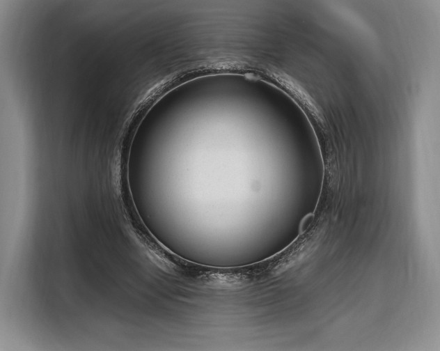 X0000108480442200904091440