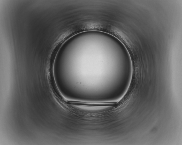 X0000108480443200904091440