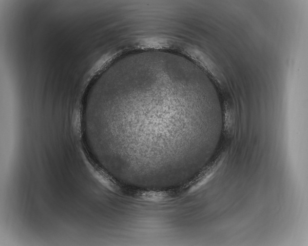X0000108480444200904091440