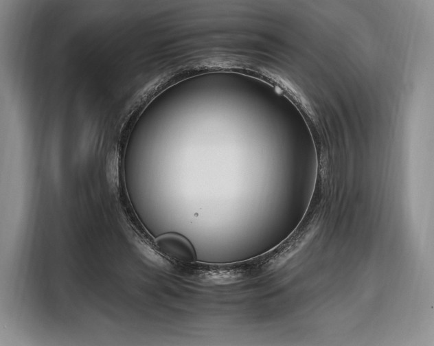 X0000108480445200904091440