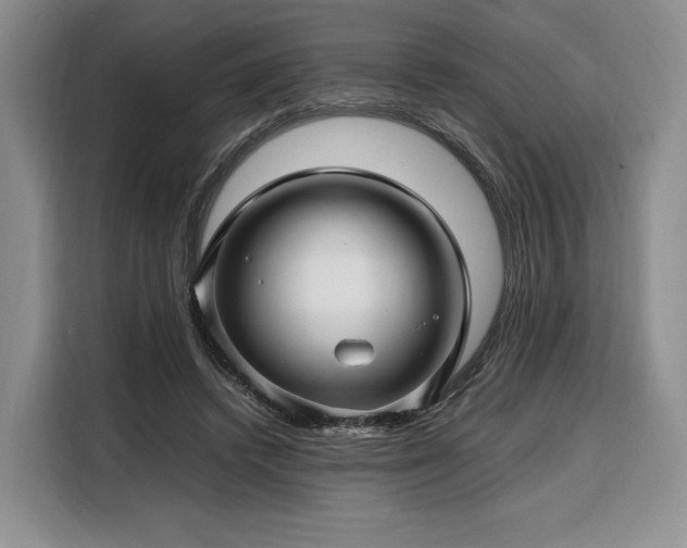 X0000108480448200904091440