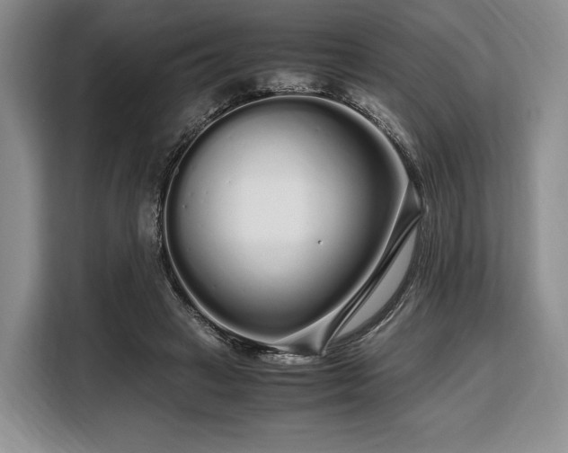 X0000108480449200904091440
