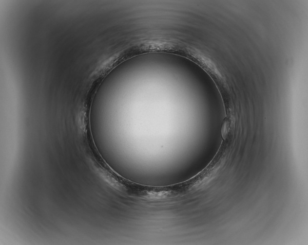X0000108480450200904091440