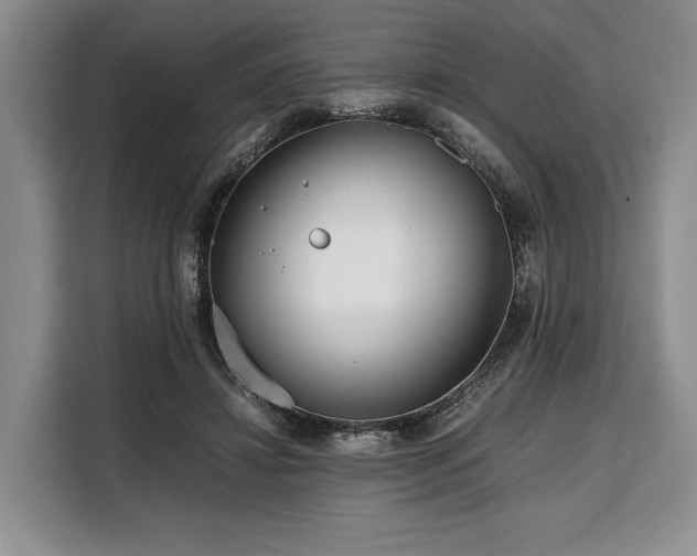 X0000108480452200904091440