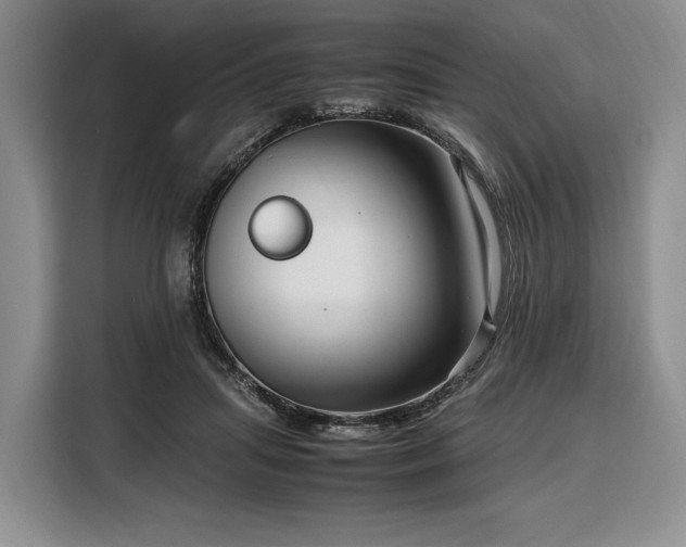 X0000108480455200904091441