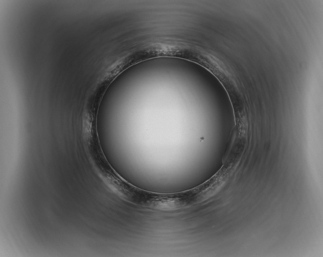 X0000108480456200904091441