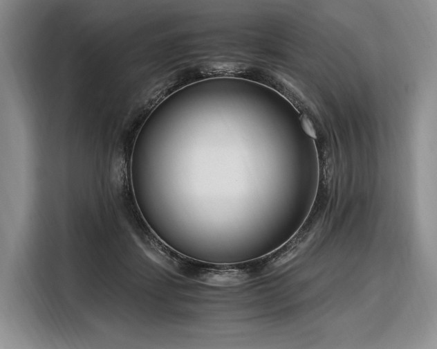 X0000108480459200904091441