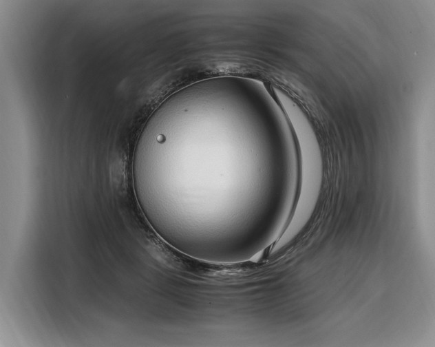 X0000108480461200904091441