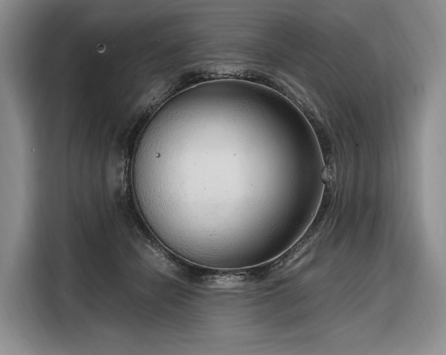 X0000108480462200904091441