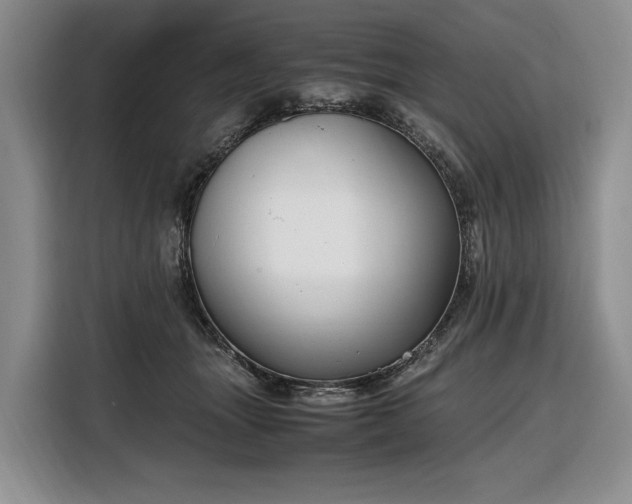 X0000108480463200904091441