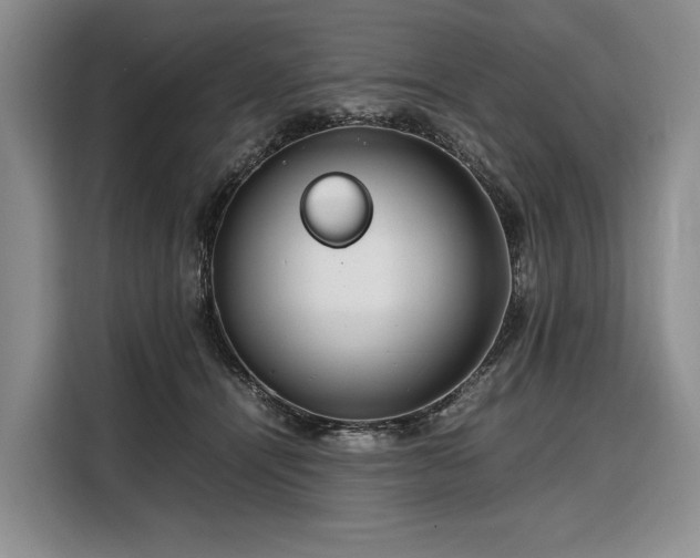 X0000108480464200904091441