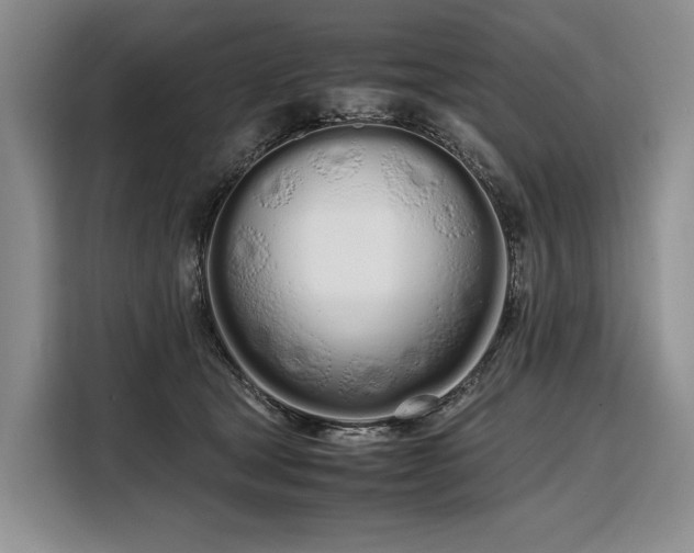 X0000108480465200904091441