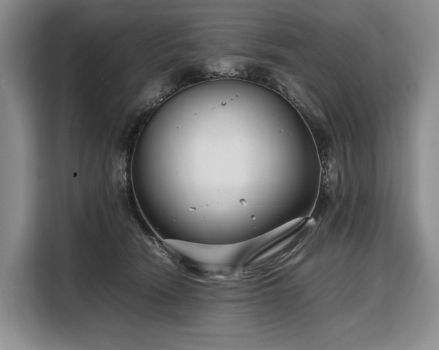 X0000108480466200904091441