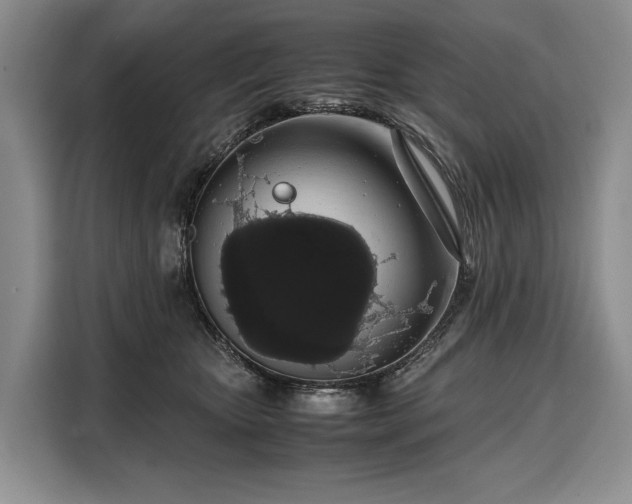 X0000108480467200904091441