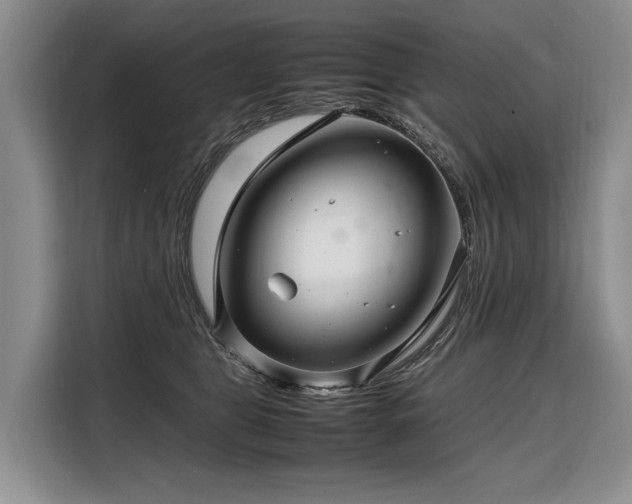 X0000108480469200904091441
