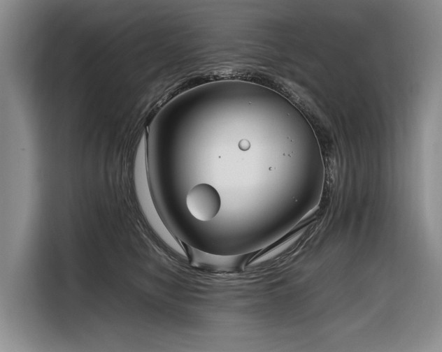 X0000108480470200904091441