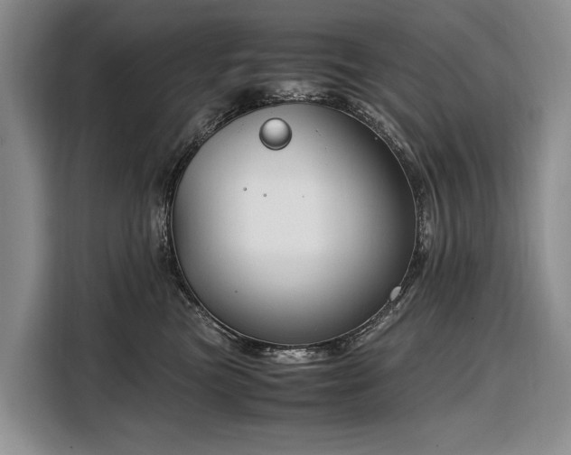 X0000108480473200904091441