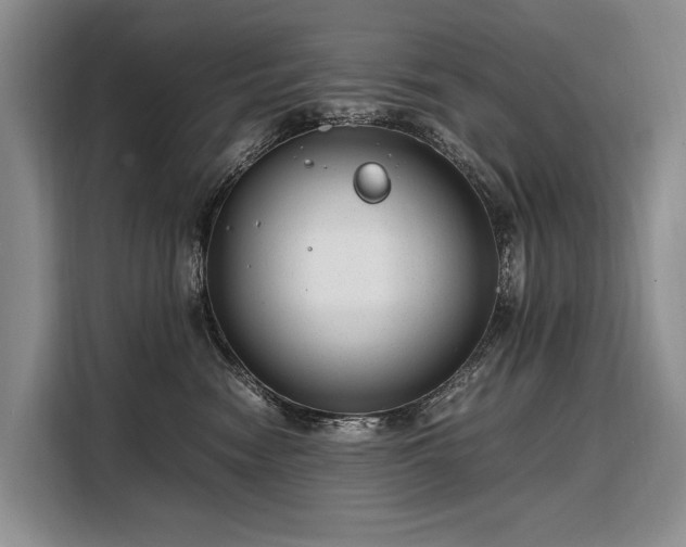 X0000108480474200904091441