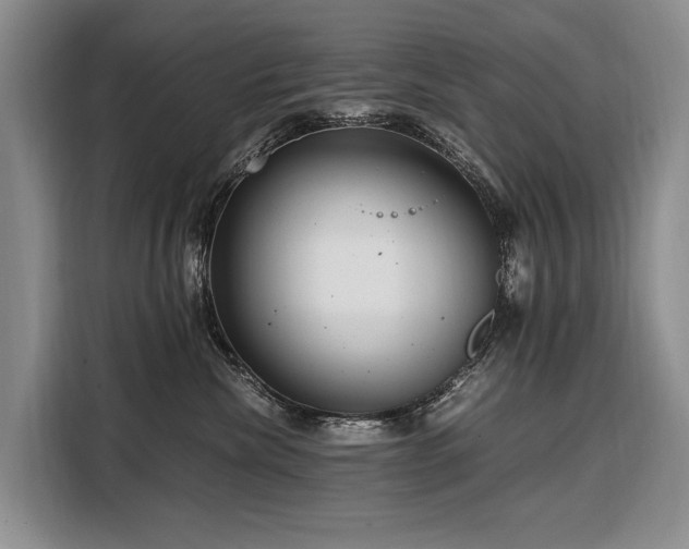 X0000108480476200904091441