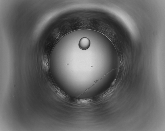 X0000108480479200904091441