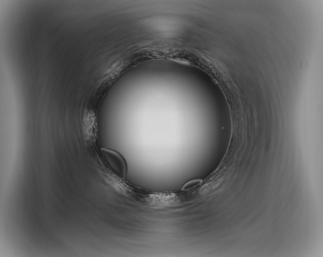 X0000108480480200904091441