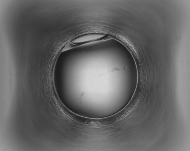X0000108480481200904091440