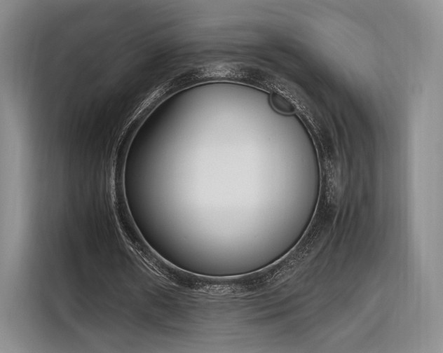 X0000108480482200904091440