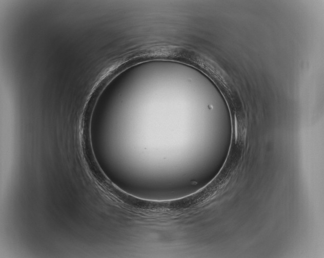 X0000108480483200904091440