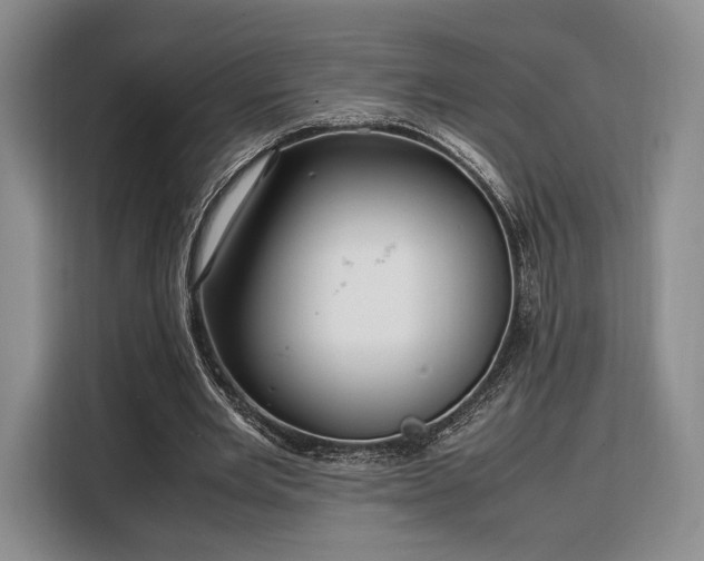X0000108480485200904091440