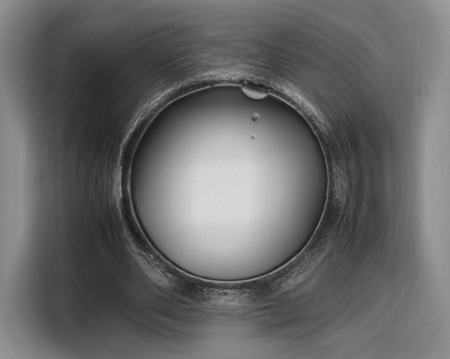 X0000108480486200904091440