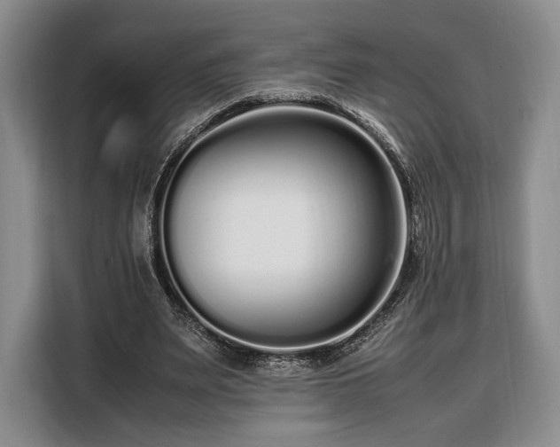 X0000108480487200904091440