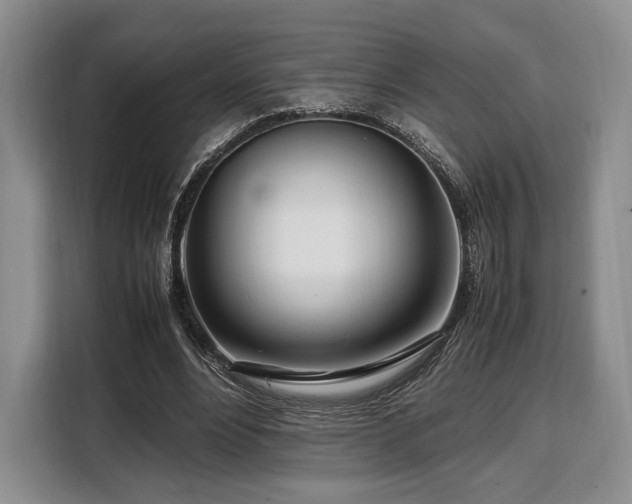 X0000108480488200904091440