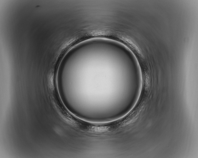 X0000108480491200904091440