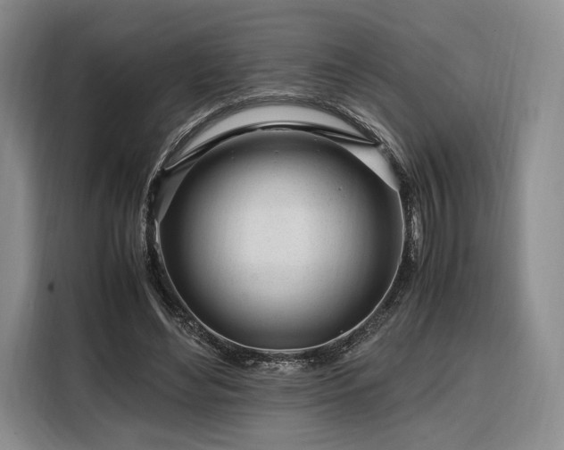 X0000108480492200904091440
