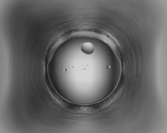 X0000108480493200904091440