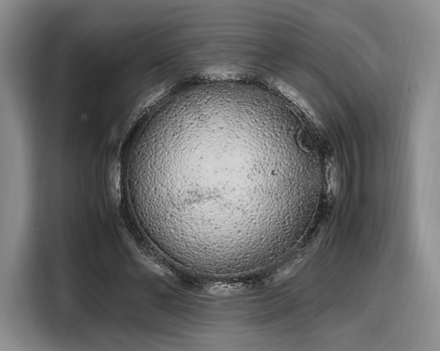 X0000108480494200904091440