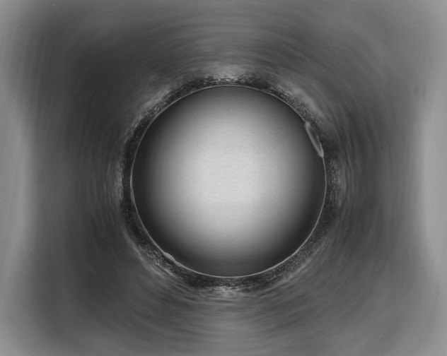 X0000108480496200904091440