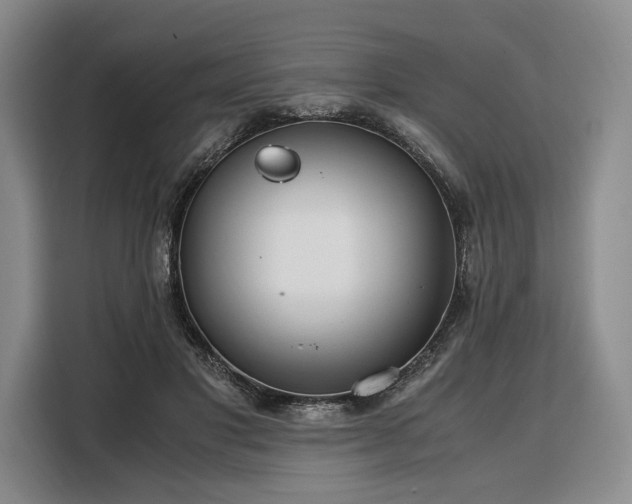 X0000108480501200904091440