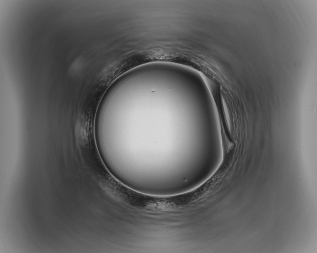 X0000108480503200904091440