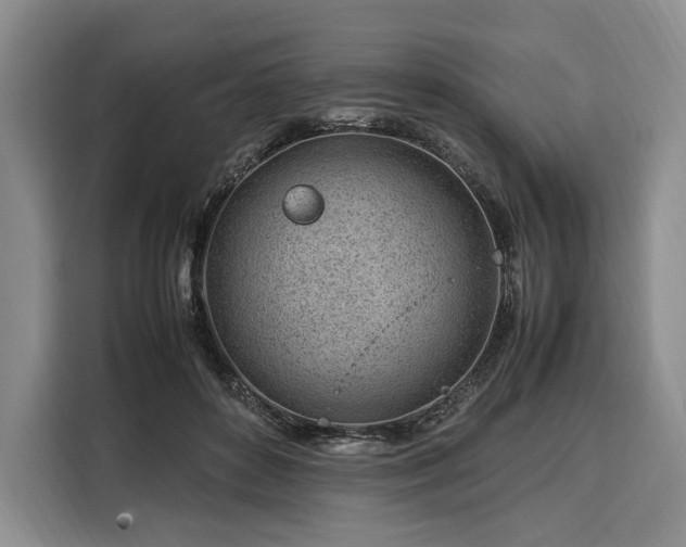 X0000108480504200904091440