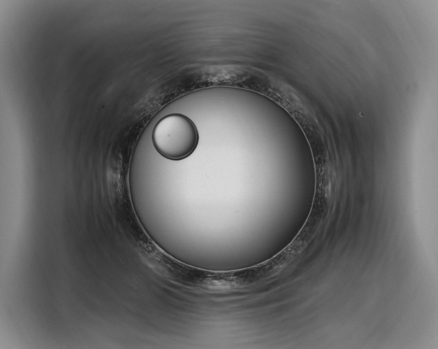 X0000108480510200904091440