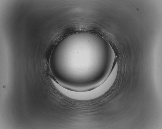 X0000108480511200904091440